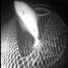 halibut escape