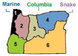 rec report map