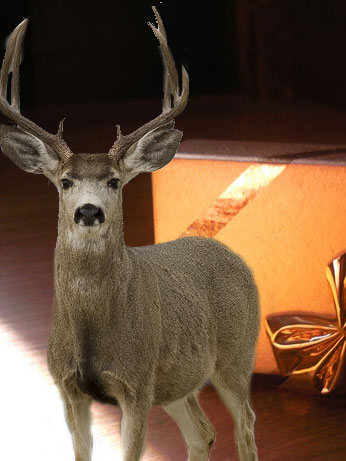 deer