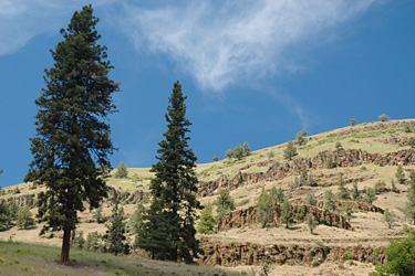 Bridge Creek