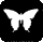 Insects