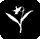 wildflowers icon