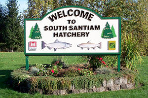 sign
