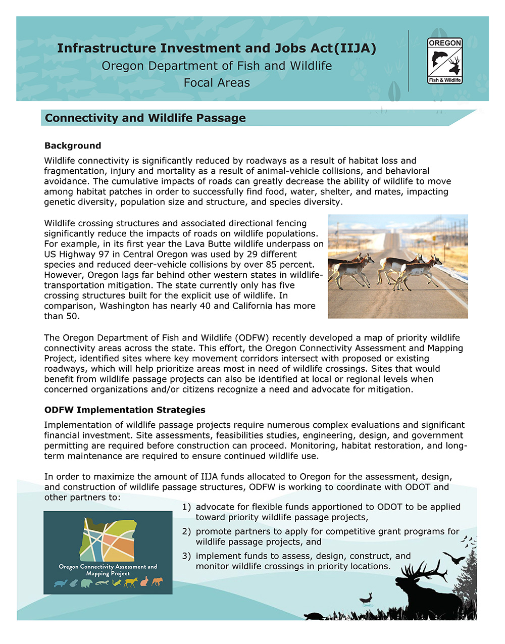 Connectivity and Wildlife Passage Overview