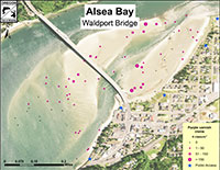 Waldport Bridge Flat