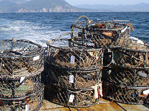crab pots