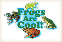 Frogs are Cool!