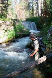 electroshocking Lake Creek