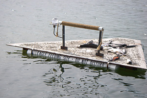 eagle feeding platform