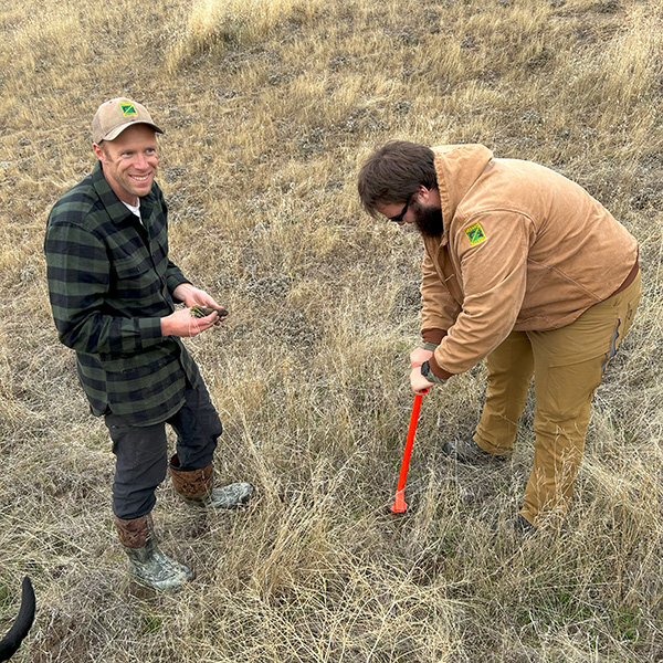 Burn seeding