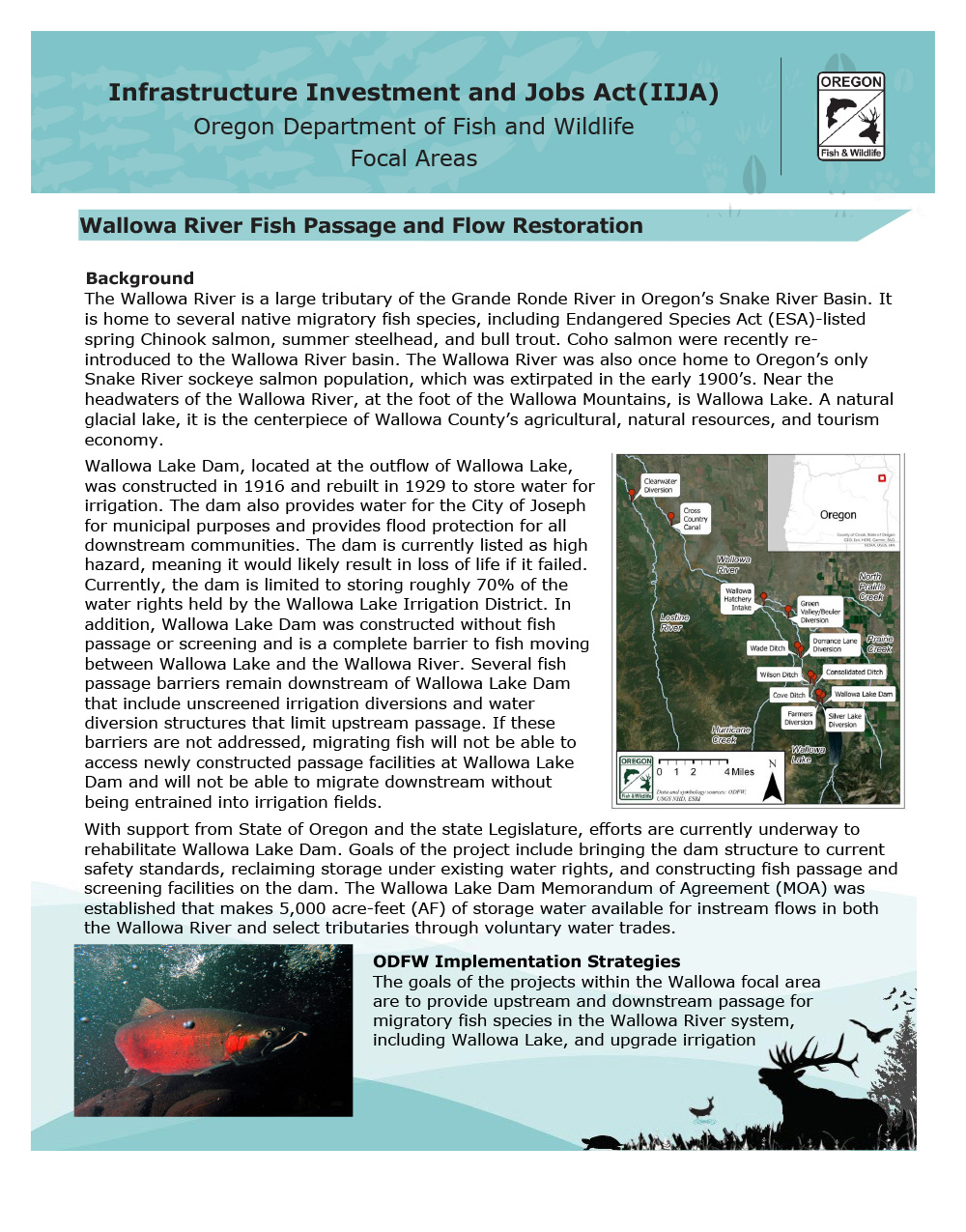 Wallowa River Fish Passage and Flow Restoration Overview