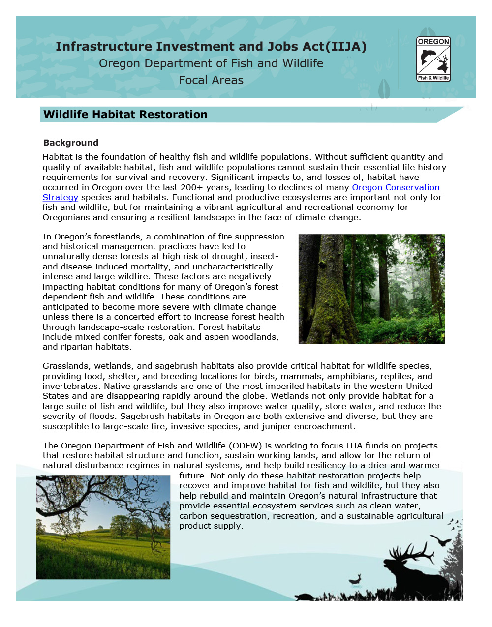 Wildlife Habitat Restoration Overview