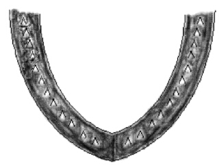 Chinook lower jaw diagram