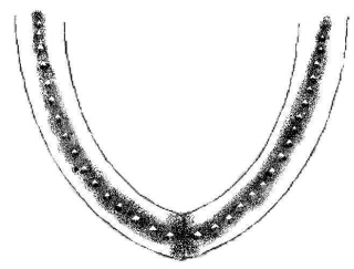 Chum lower jaw diagram