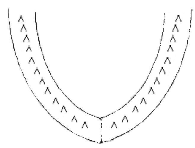 Steelhead lower jaw diagram