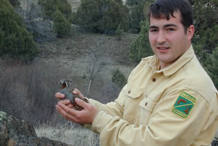Holding a Quail