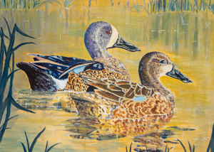 Waterfowl Stamp Art