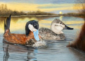 Waterfowl Stamp Art