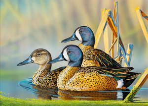 Waterfowl Stamp Art