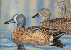 Waterfowl Stamp Art