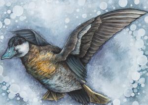 Waterfowl Stamp Art